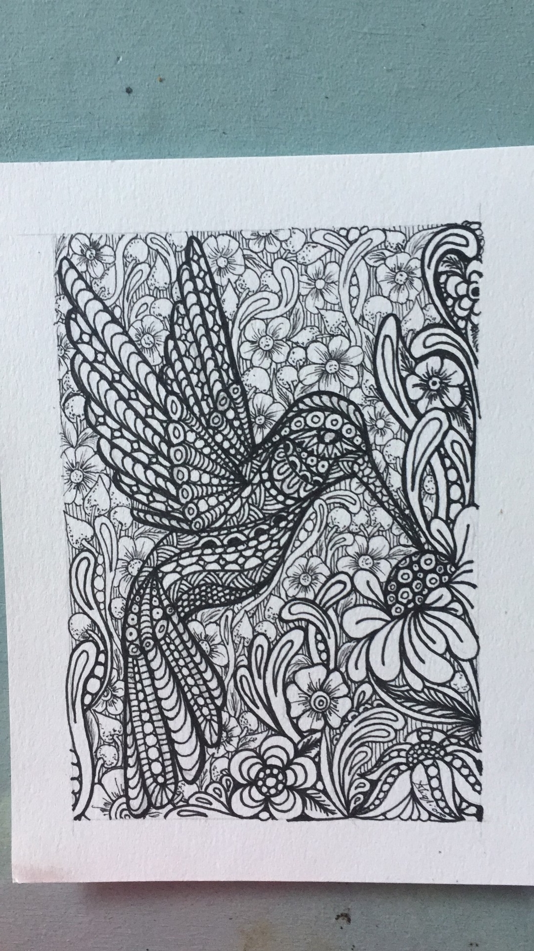 colibris 1