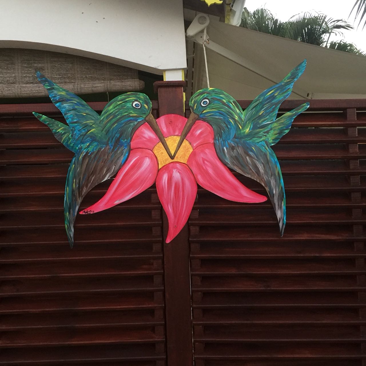 colibris